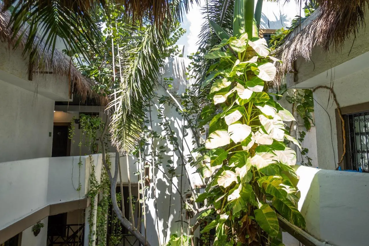 Posada Mariposa Boutique Hotel - 5Th Avenue Playa del Carmen
