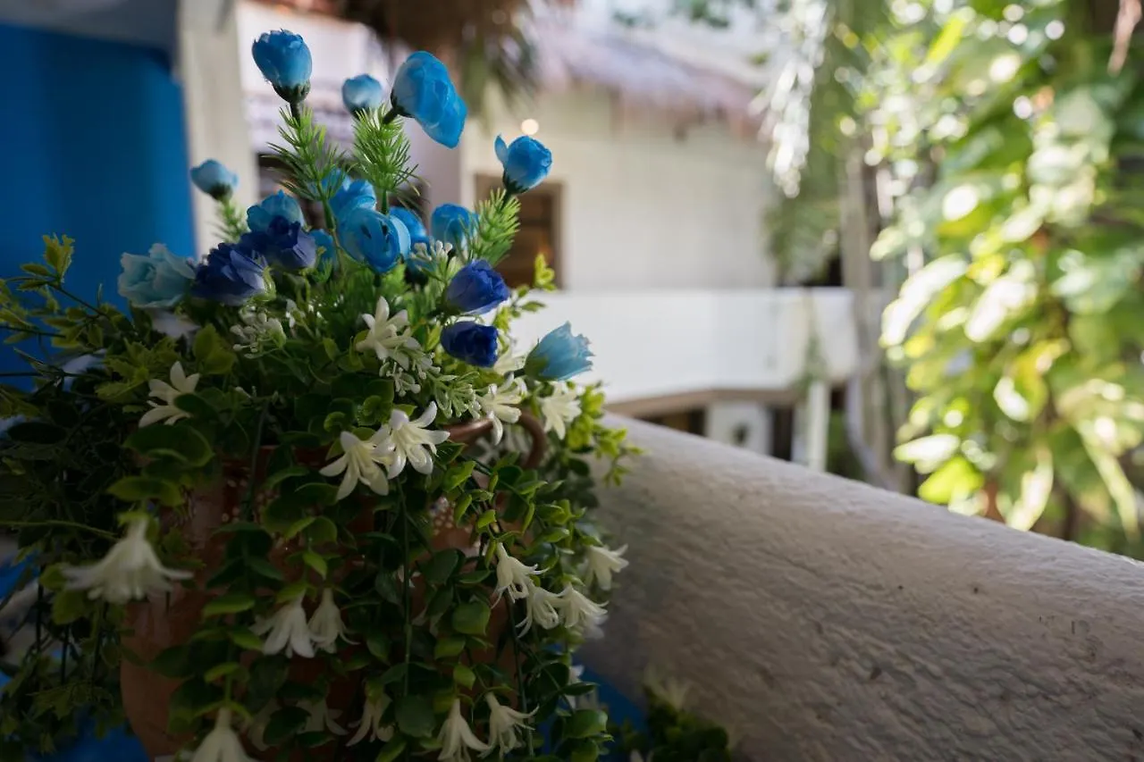Posada Mariposa Boutique Hotel - 5Th Avenue Playa del Carmen 4*,