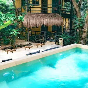 terasu-riviera-maya.allrivieramayahotels.com/
