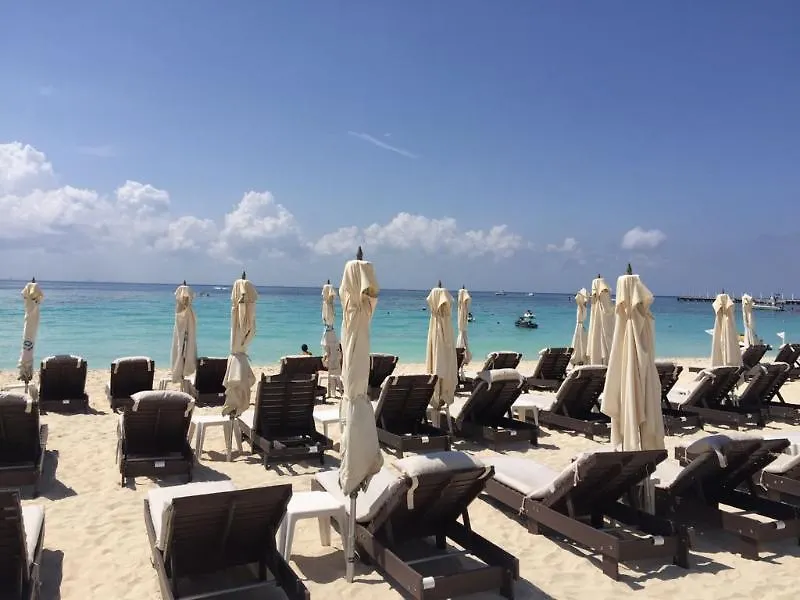 Posada Mariposa Boutique Hotel - 5Th Avenue Плая-дель-Кармен